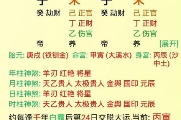 八字疾病综合论断