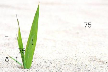 泉州关帝灵签32