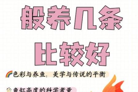 养鱼喜忌：家庭养鱼的风水讲究