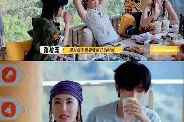 张柏芝谢霆锋算命