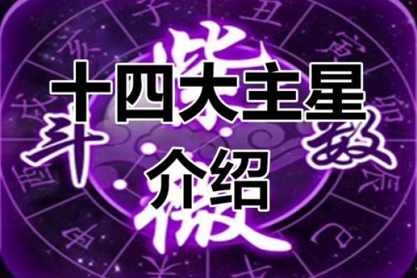 紫薇斗数申子辰