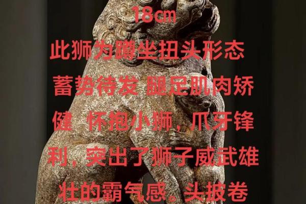 商业风水引财气，石狮子的讲究