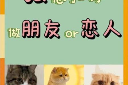 塔罗测试他想和你做恋人还是朋友 你们应该做恋人还是朋友