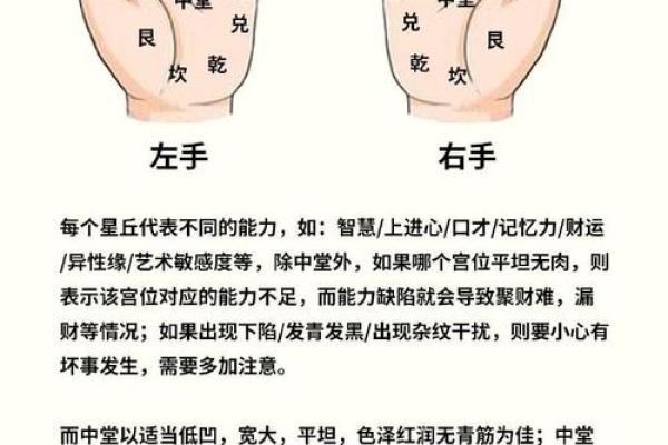 怎么算命用手就行