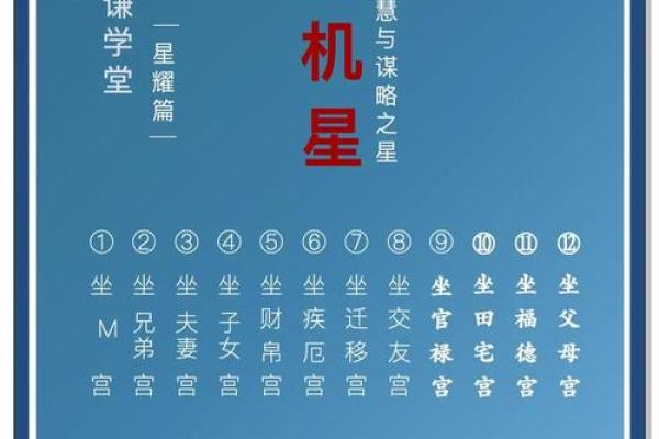 紫微斗数诸星落命宫之：天机星详解