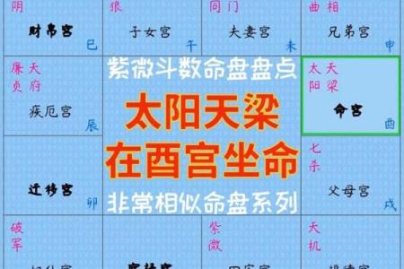 紫微斗数之疾厄宫与诸星，天梁星在疾病宫是什么意思？