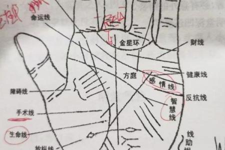 图解：手相上升线算命