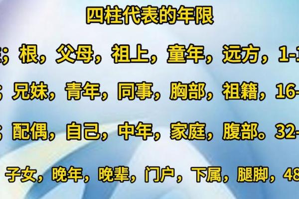 八字四柱代表,八字里的四柱各代表什么意思