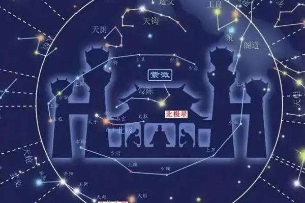 紫薇斗数星系组合