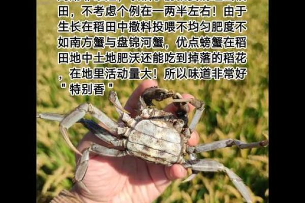 螃蟹地风水形了解这种风水形带来的影响及解决方法 螃蟹地风水形了解这种风水形带来的影响及解决方法