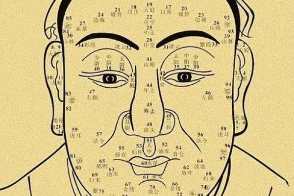 看相算命图解