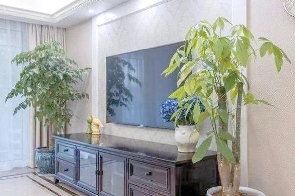 客厅电视机究竟如何摆放风水好