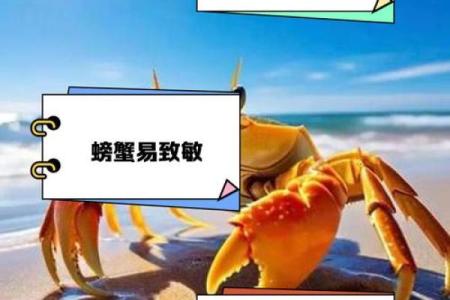 螃蟹地风水形了解这种风水形带来的影响及解决方法