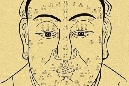 看相算命图解