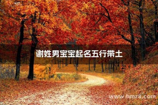 谢姓男孩名字大全-谢姓男孩起名字大全-谢姓名字大全姓名 谢姓男孩名字大全-谢姓男孩起名字大全-谢姓名字大全姓名