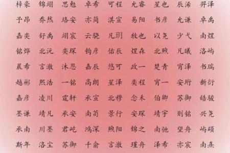 2019年3月23号申时出生的男孩如何起名姓名