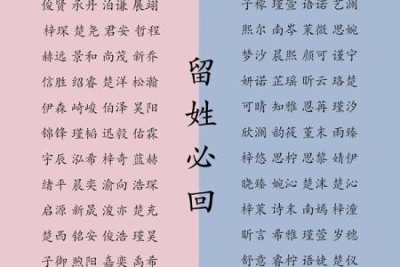 2019年6月15号丑时出生的男孩起名方法姓名