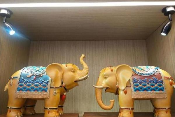 风水上酒店门口适合摆放大象寓意