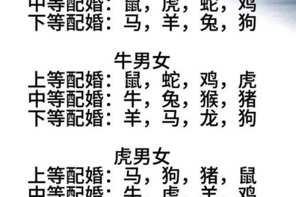 合婚姻属兔和属鸡的八字配不配 能做夫妻吗