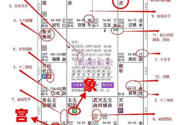 如何自学紫薇斗数 如何自学紫薇斗数