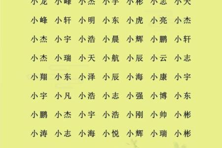 2019年3月17号巳时出生的男孩应该起什么样的名字姓名