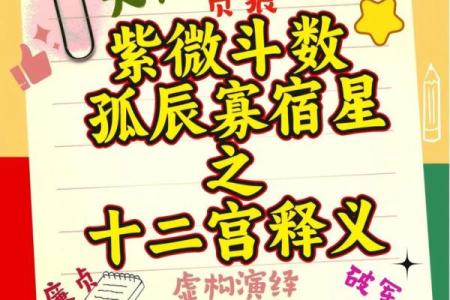 p11子女宫11-1#命理#紫微斗数#二十八宿#五星术