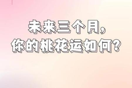 塔罗测试：十一月桃花运？