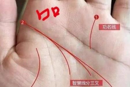 怎样看手纹给自己算命 富贵的手相