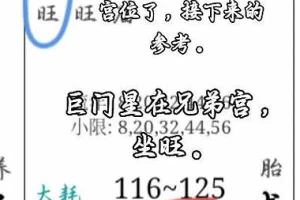 紫薇斗数的巨门