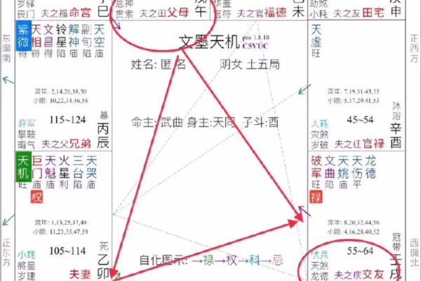 紫薇斗数中最准确的解释