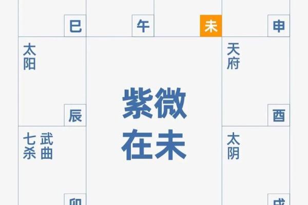 紫薇斗数中最准确的解释