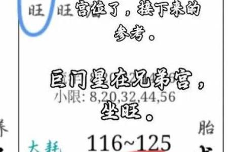 紫薇斗数的巨门