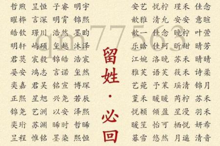 2019年3月26号午时出生的男孩如何起名姓名