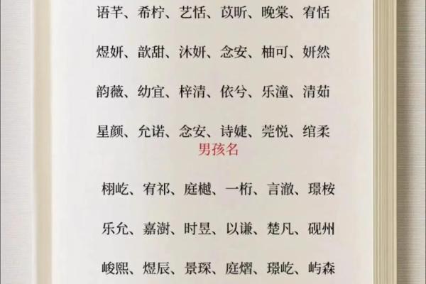 起名测分打分免费测试,生辰八字取名字大全免费查询