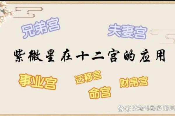 紫薇斗数命宫有哪些