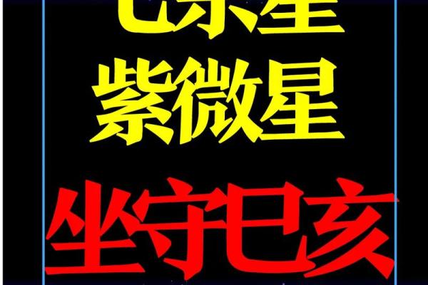 紫薇斗数的财星和官星
