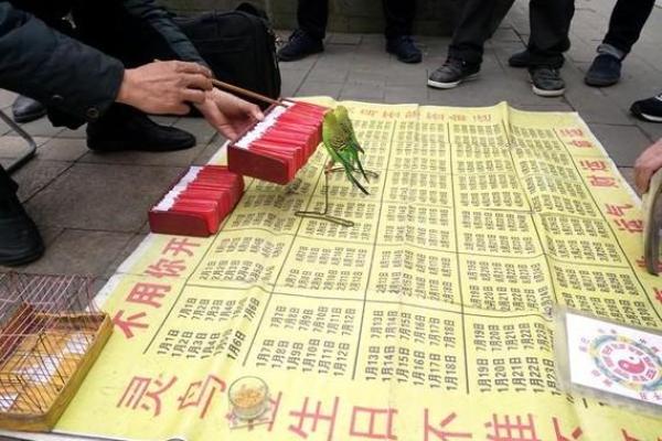 灵鸟叨签算命违法吗