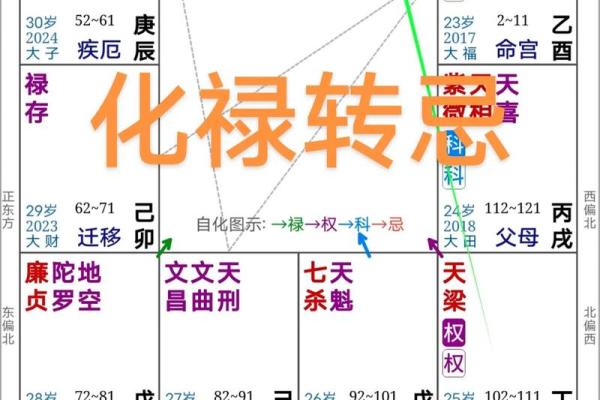 紫微排盘官禄宫自化忌 官禄宫自化忌命运影响