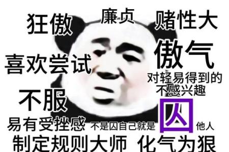 紫薇斗数三方是杀破狼