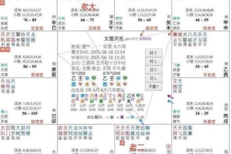 紫薇斗数排盘姓名