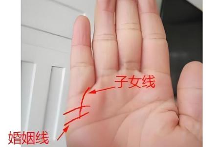 算命看手相算命图解 女性子女线