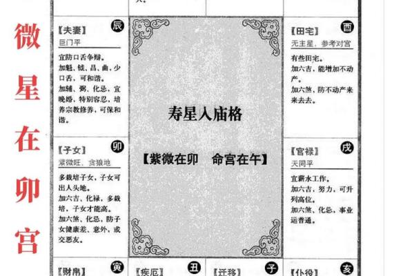 紫薇命盘紫薇斗数