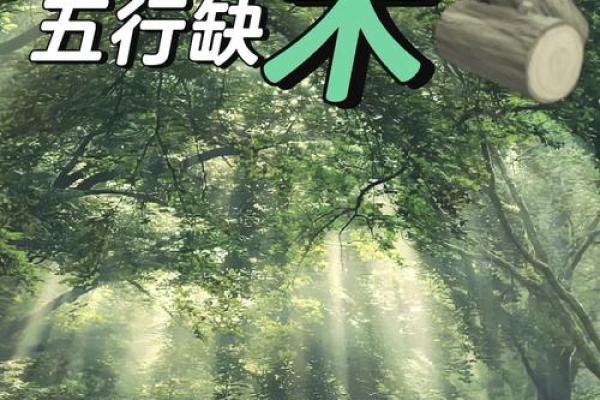 2021端午节出生的五行缺木名字推荐,怎么取名好姓名