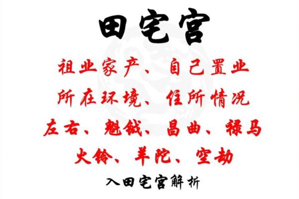 紫薇斗数看田宅宫