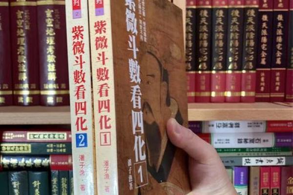 紫薇斗数看谁书籍