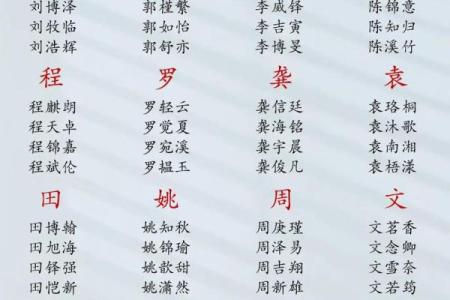 2019年3月26号丑时出生的男孩起名时要注意什么姓名