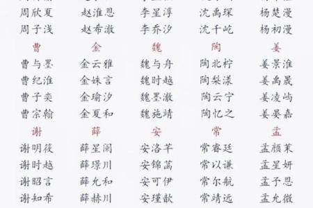 6月份出生的属龙男孩起什么名字好姓名