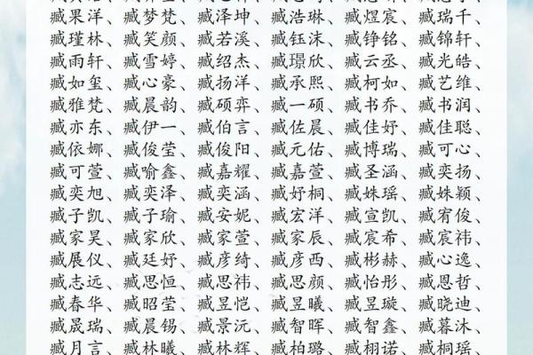 费姓男孩名字大全-费姓男孩起名字大全-费姓名字大全姓名