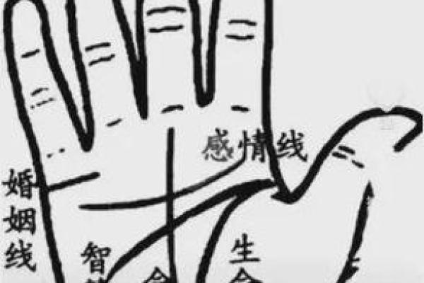 断掌算命,断掌上面还有感情线