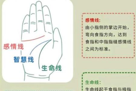 如何通过手相手纹算命-